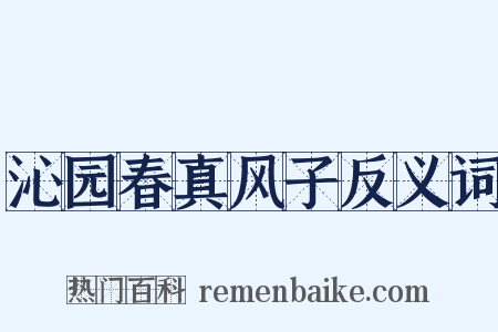 沁园春真风子反义词是什么意思的图片